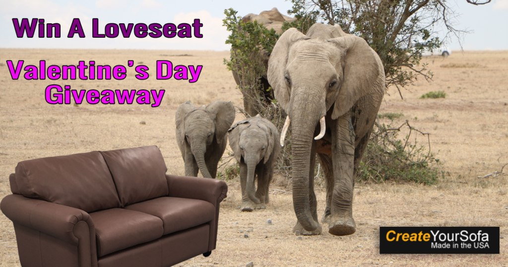 6-Win-A-Loveseat-Elephant