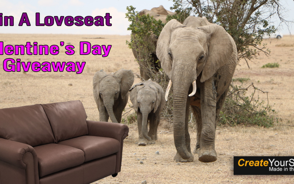 6-Win-A-Loveseat-Elephant