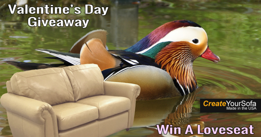 Win-A-Loveseat.-Duck-in-Pond