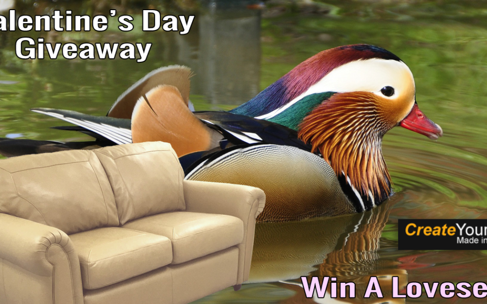 Win-A-Loveseat.-Duck-in-Pond